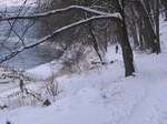 Silvestr