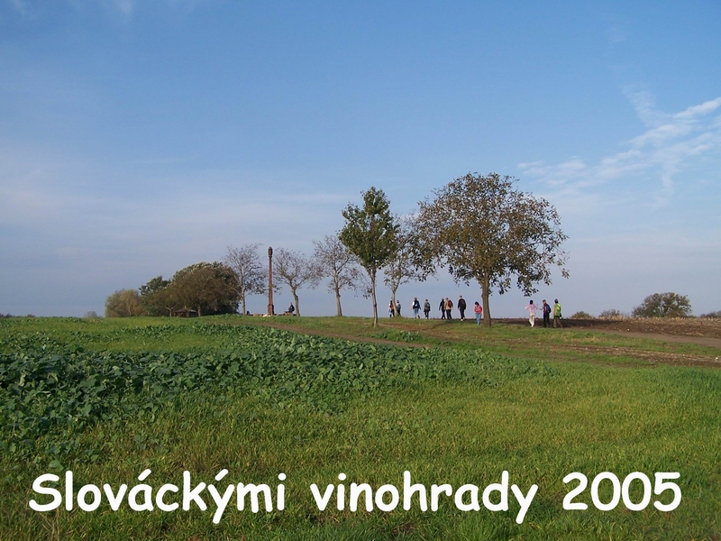 fotografie z akce Slováckými vinohrady