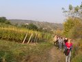 fotografie č. 8