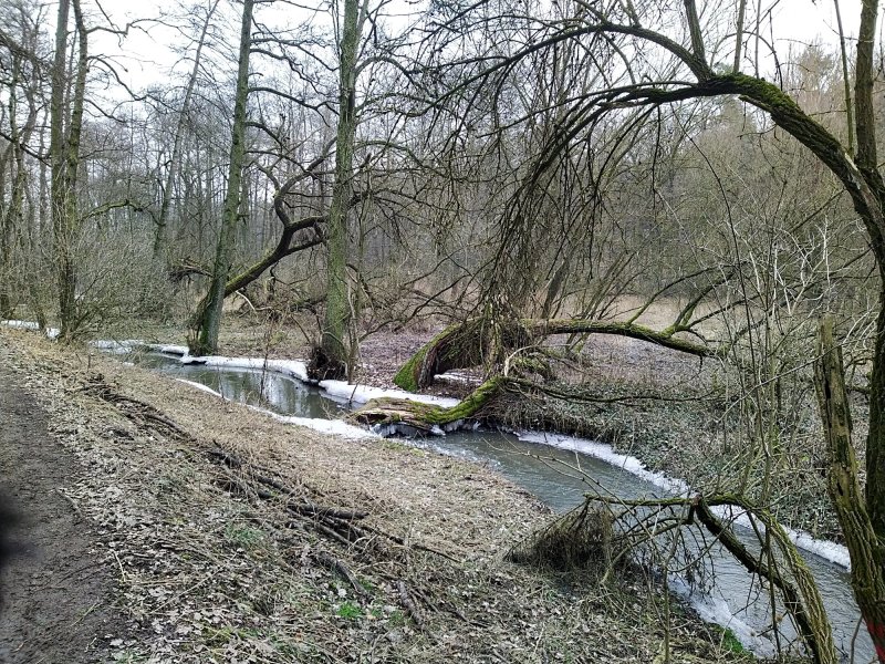 fotografie z akce ... a zpět na Blaník/3.etapa