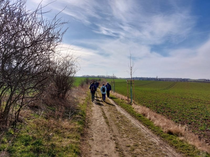 fotografie z akce ... a zpět na Blaník/4. etapa