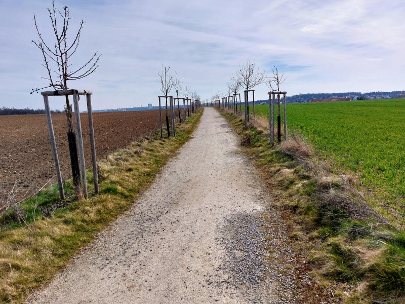 fotografie z akce ... a zpět na Blaník/4. etapa