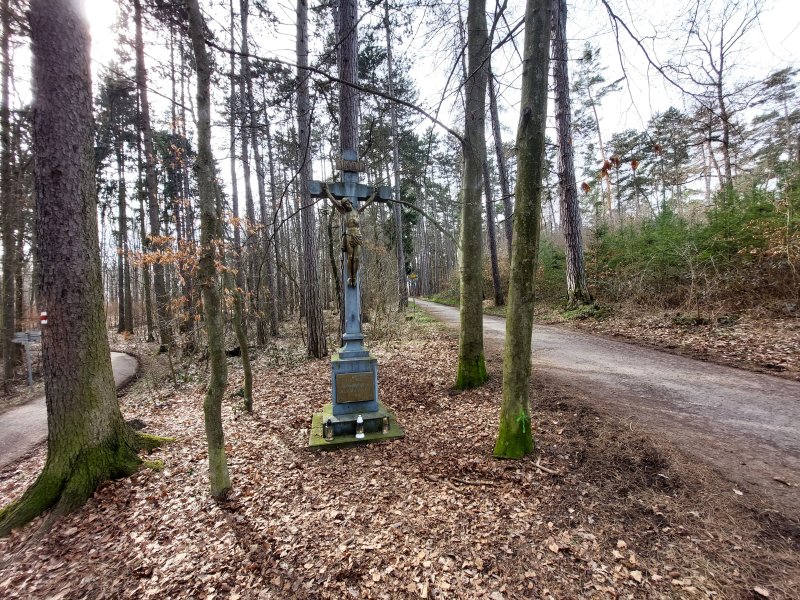 fotografie z akce ... a zpět na Blaník/4. etapa