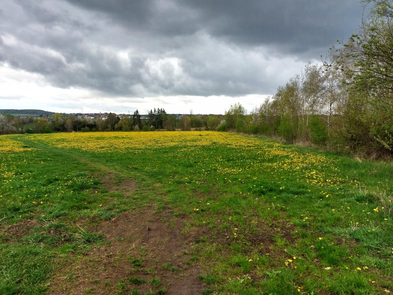 fotografie z akce ... a zpět na Blaník/5. etapa