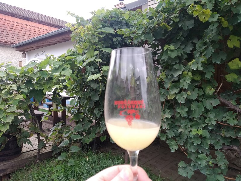 fotografie z akce Burčákové putování s Přemkem