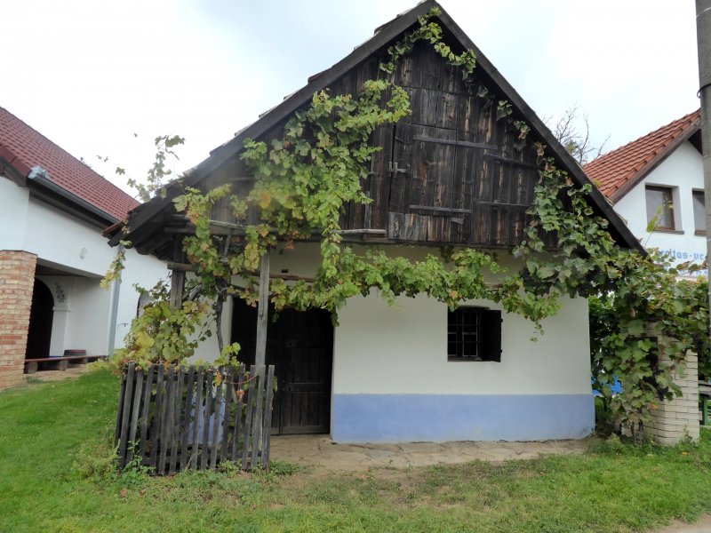 fotografie z akce Burčákové putování s Přemkem