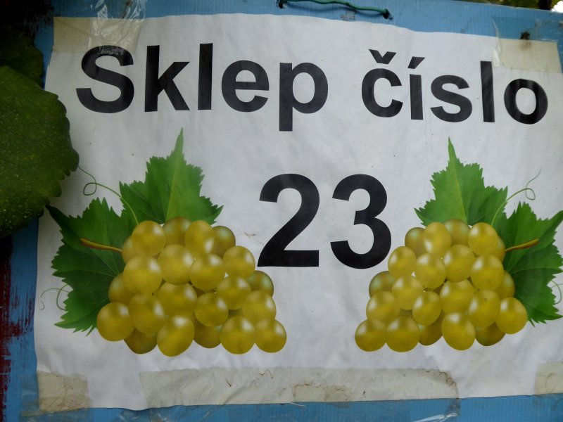 fotografie z akce Burčákové putování s Přemkem
