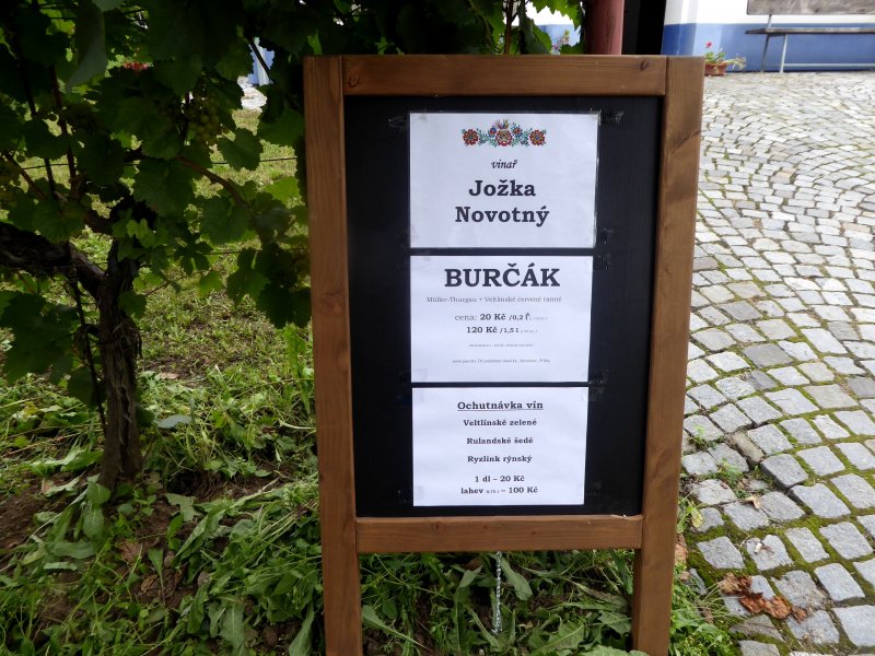 fotografie z akce Burčákové putování s Přemkem