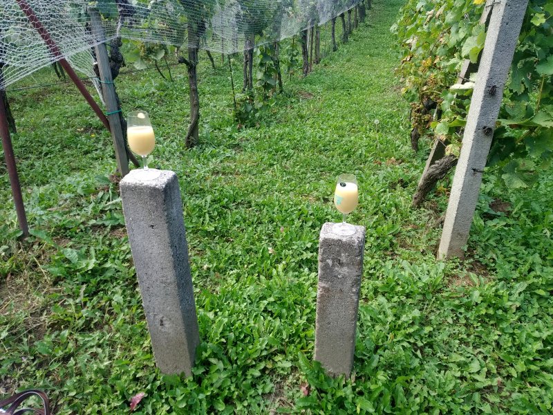 fotografie z akce Burčákové putování s Přemkem