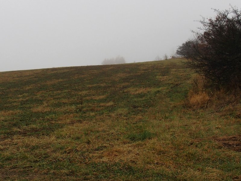 fotografie z akce Kolem Votic s Irenou - 13 km
