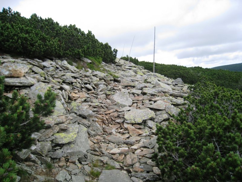 fotografie z akce Krkonoše 2009