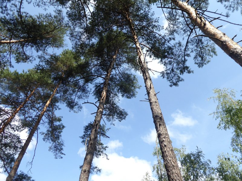 fotografie z akce Týden v Českém ráji s Horajdou