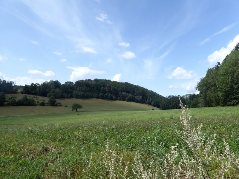 fotografie z akce Týden v Českém ráji s Horajdou