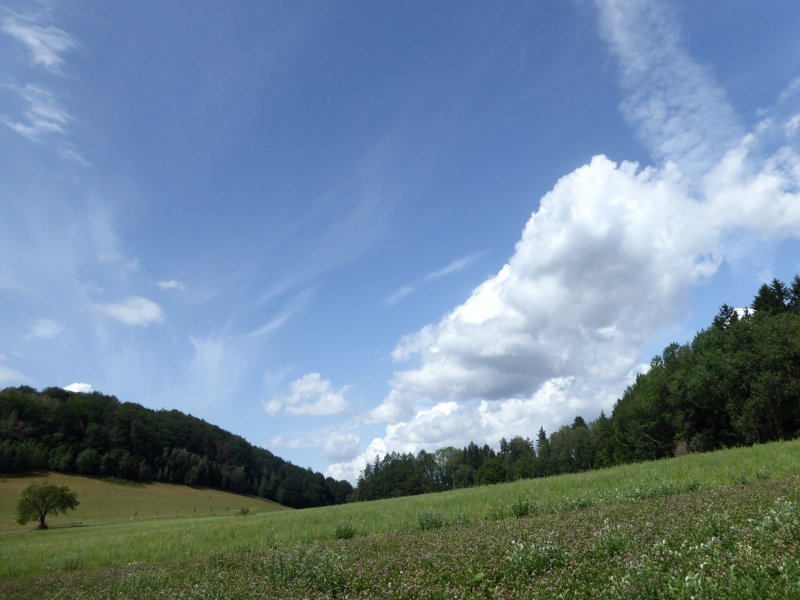 fotografie z akce Týden v Českém ráji s Horajdou