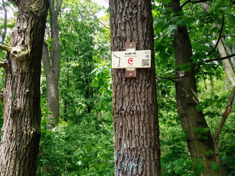 fotografie z akce Mlčechvosty-Říp-Krabčice