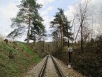 fotografie č. 29