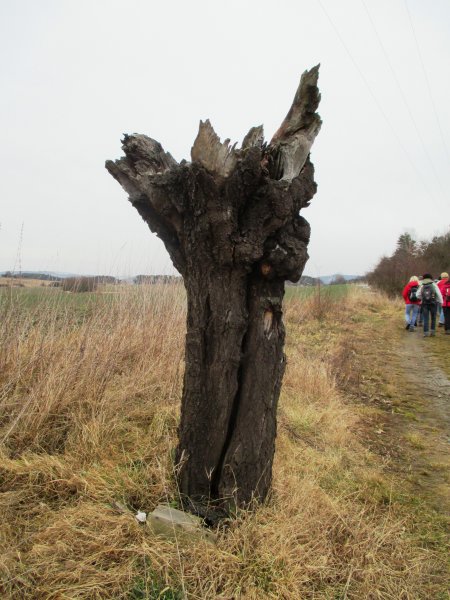 fotografie z akce Neděle s Líbou - Týnec n/S-Pyšely