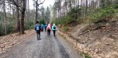 fotografie č. 6