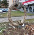 fotografie č. 15