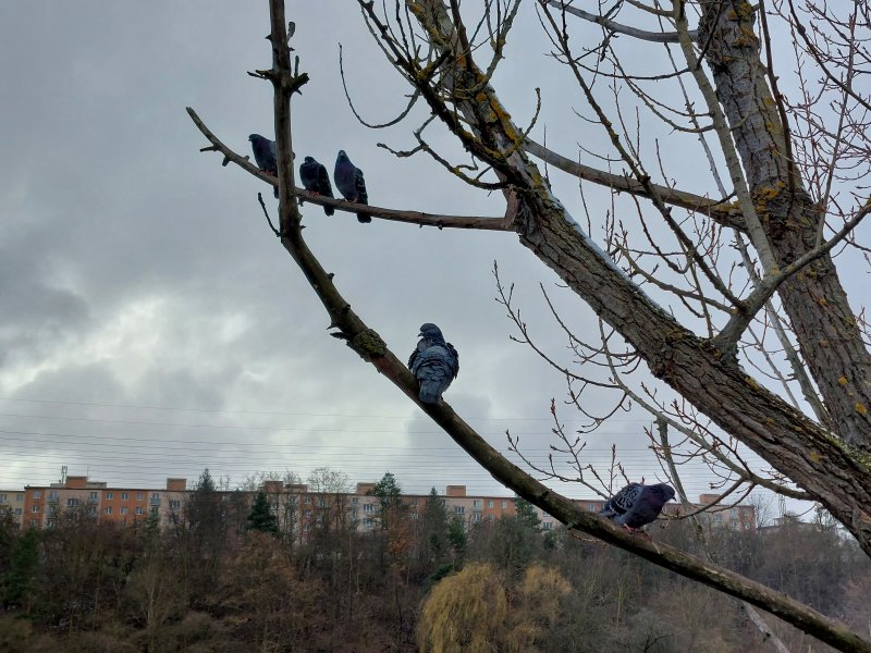 fotografie z akce NsH - Po stopách Járy Cimrmana