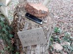 fotografie č. 61