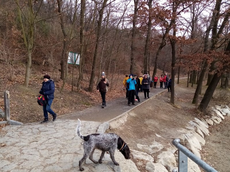 fotografie z akce NsH - Povodím Botiče
