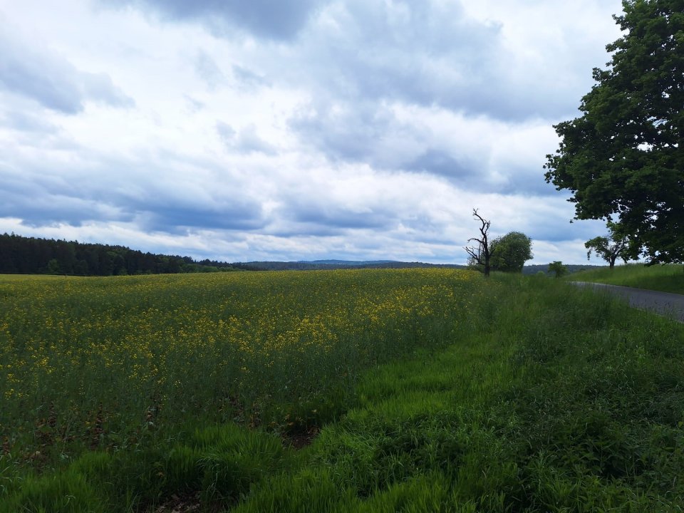 fotografie z akce NsH - Výžerky - Sázava