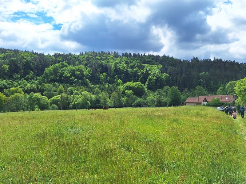 fotografie z akce NsH - Výžerky - Sázava