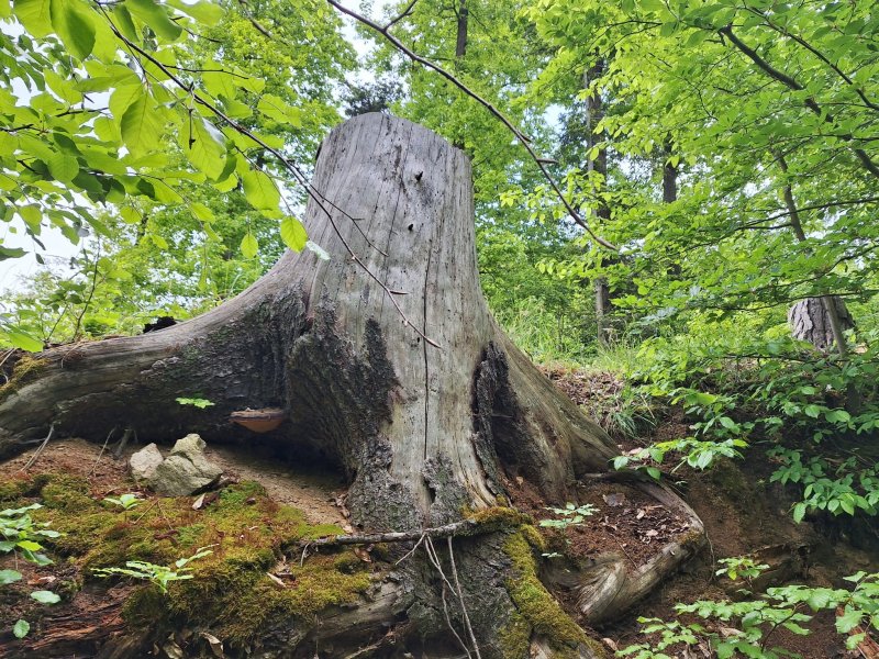 fotografie z akce NsH - Výžerky - Sázava
