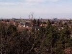 fotografie č. 26