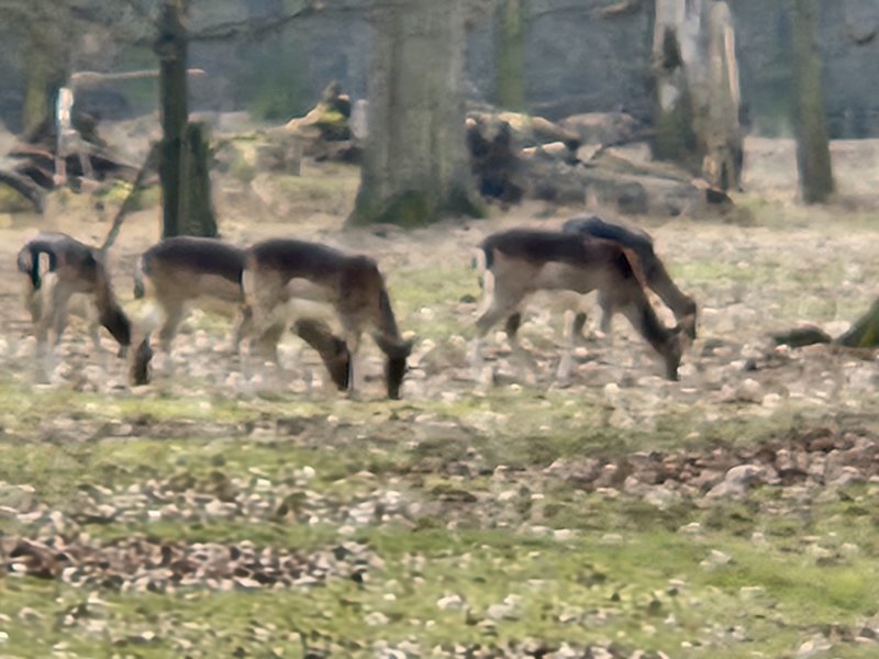 fotografie z akce NsHa-Nelahozeves-Kralupy n/V