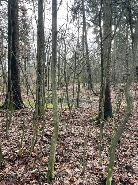 fotografie z akce NsHelčou - Mukařov a okolí