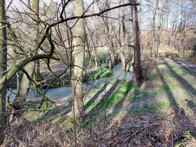 fotografie z akce NsHelčou - Povodím Botiče