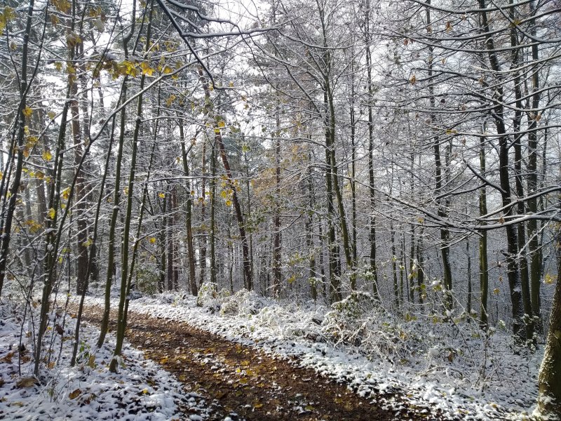 fotografie z akce NsI - Kosova Hora - Sedlčany 
