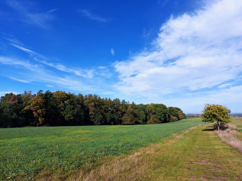 fotografie z akce NsI - Naučnou stezkou Úvaly