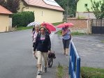 fotografie č. 14