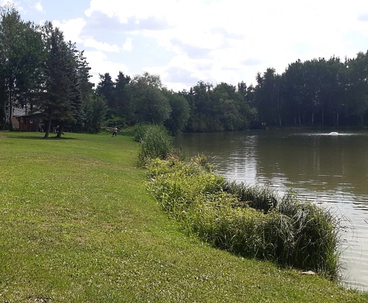fotografie z akce NsI - Škvorec - Mukařov-10 km