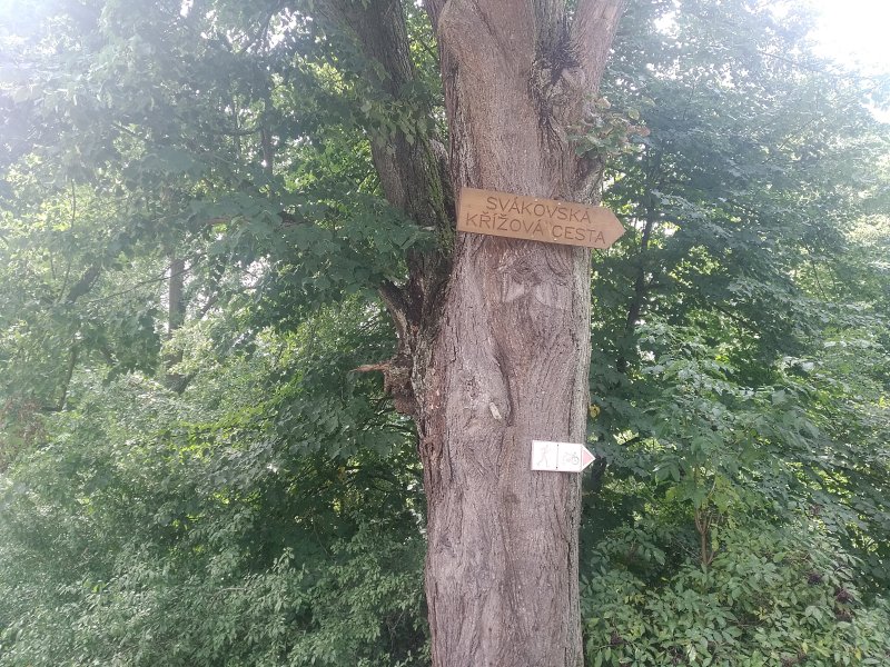 fotografie z akce NsI - Soběslav - Svákov  
