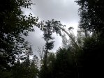 fotografie č. 60