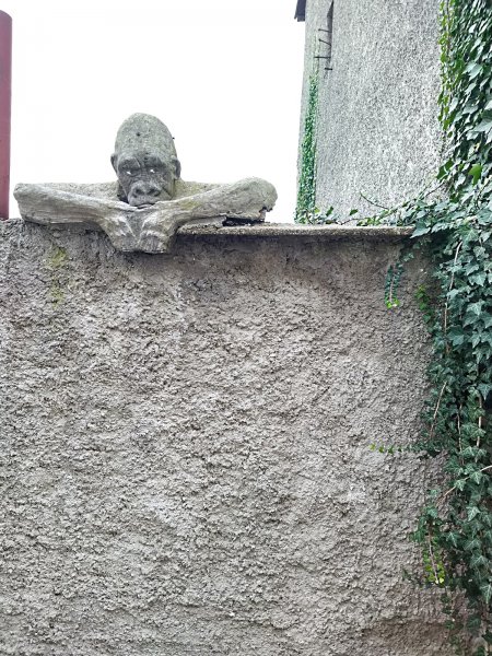 fotografie z akce NsI - Votice - Olbramovice
