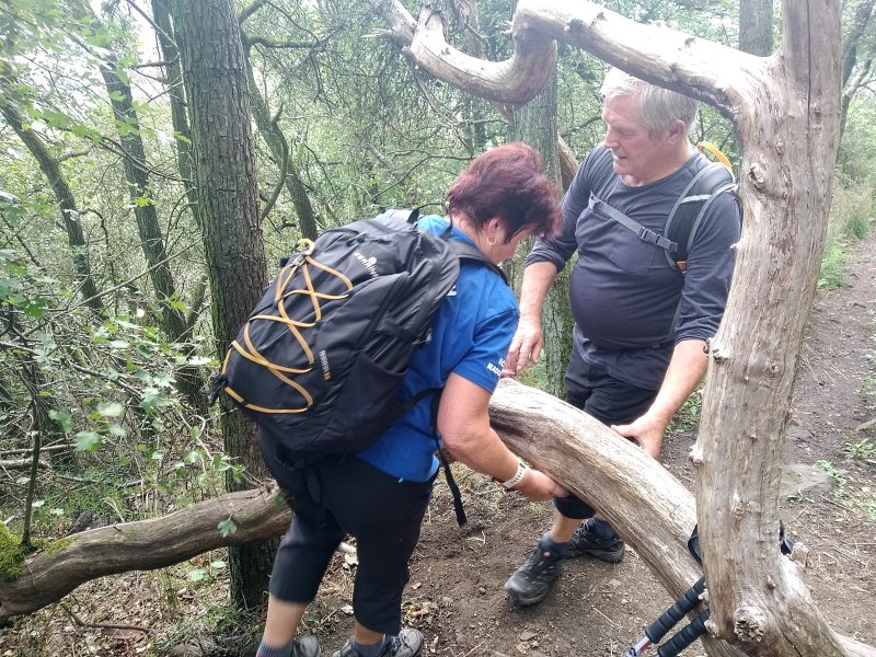 fotografie z akce NsI - Výstup na Lovoš - 11 km 