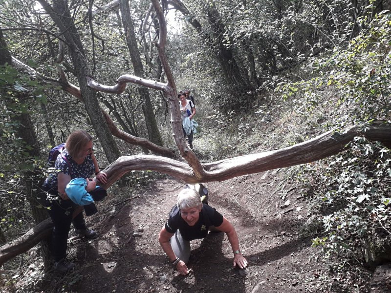 fotografie z akce NsI - Výstup na Lovoš - 11 km 