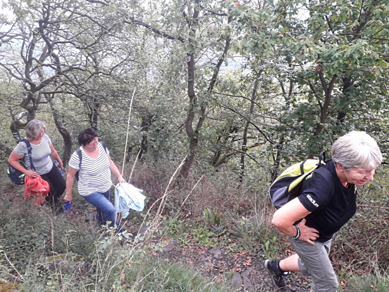 fotografie z akce NsI - Výstup na Lovoš - 11 km 