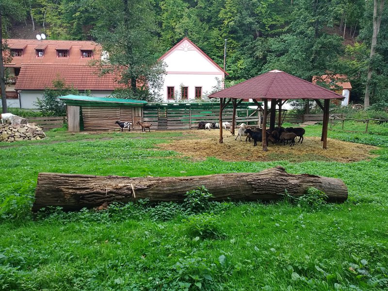fotografie z akce NsI - Výstup na Lovoš - 11 km 