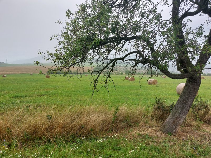 fotografie z akce NsI - Vzhůru na Radobýl!