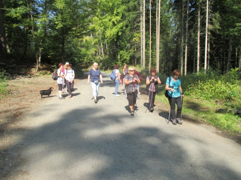 fotografie z akce NsL-Č.Šternberk-Sázava-15,5 km
