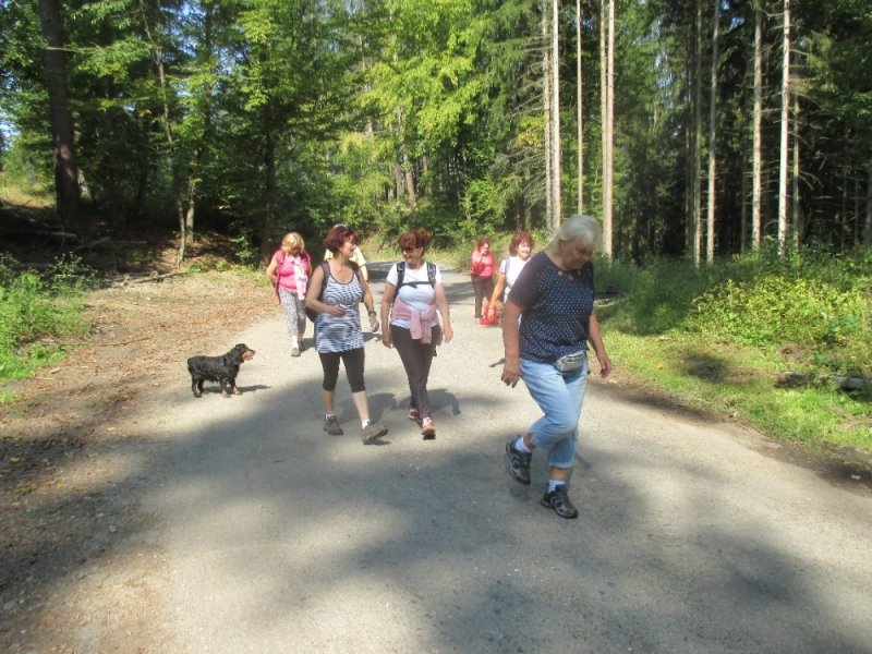 fotografie z akce NsL-Č.Šternberk-Sázava-15,5 km