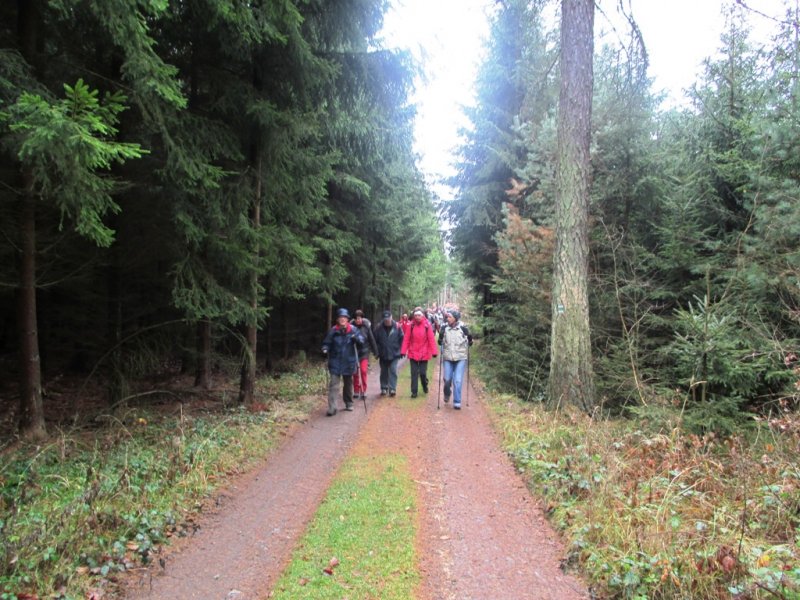 fotografie z akce NsL- Kozojedy-Mukařov 14.5 km