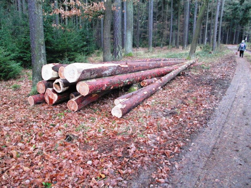 fotografie z akce NsL- Kozojedy-Mukařov 14.5 km