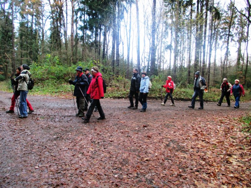fotografie z akce NsL- Kozojedy-Mukařov 14.5 km